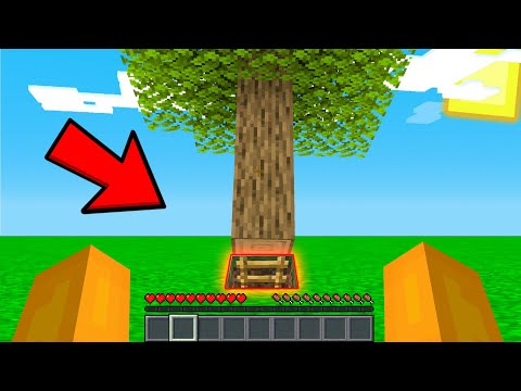 HO COSTRUITO LA STANZA SEGRETA DEL VILLAGER NELLA BIG VANILLA !