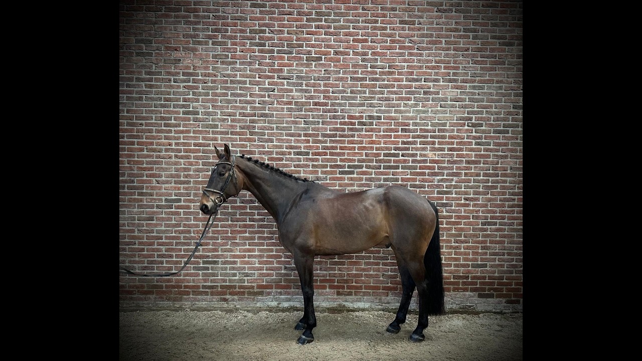 Sandros Rough Diamond ☆ (SANDRO BOY x COLIN DIAMOND) video 1