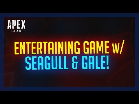 Entertaining Game with Seagull & Gale!