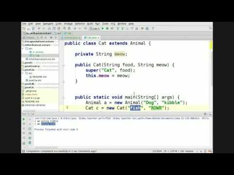 Launchcode Inheritance