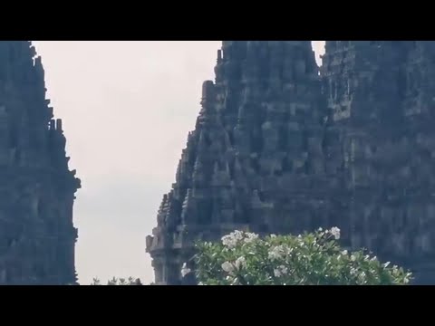 El viaje no es largo pero sí muy profundo