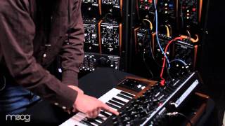 Video thumbnail for Minimoog Voyager XL by Moog Music