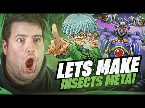 THIS DECK IS READY TO SWARM THE YUGIOH META!