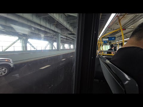Bus Time S53