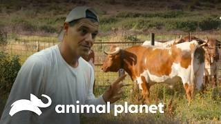 Thumbnail del capítulo