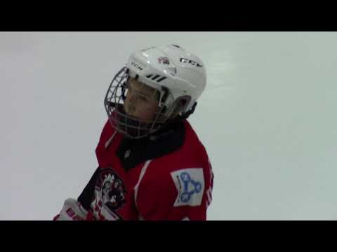 HC Vipers F RED – HC Vipers F WHITE  15:0 (4:0 ; 11:0)  28.02.2018