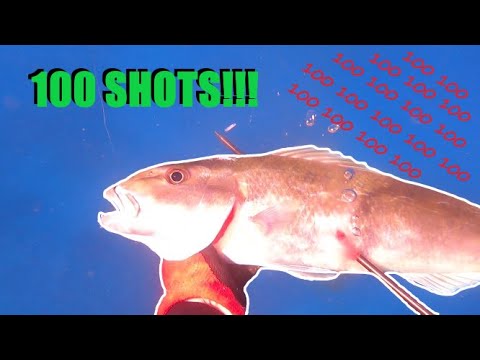 100 SPEARFISHING SHOTS Compilation SPEARFISHING HAWAII