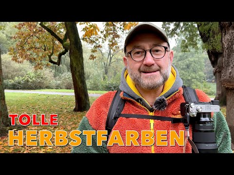 Tolle Herbstfarben fotografieren