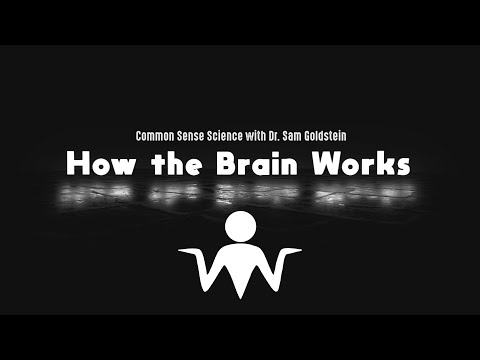Common Sense Science - E09 How the Brain Works - Dr. Sam Goldstein