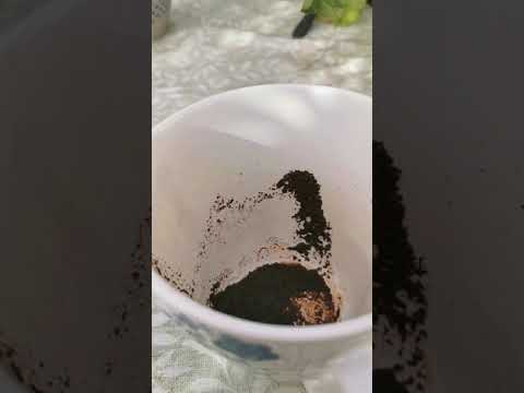 Onsdagens Offentliga Kaffesump säger Porrigt??