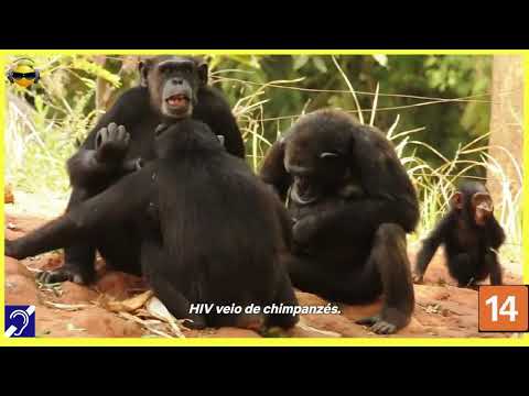 Tv Educativa Cortes Netflix Explicando A Próxima Pandemia Dublado e com Legendas Surdez Hipoacusia  Corte 03