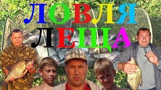 Все о ловля леща на резинку ночью