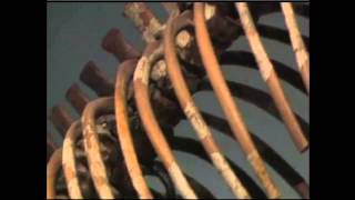 The Geography of Georgia: Video Intro with Georgia Stories