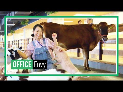 不可思議!Pasona 集團東京辦公室!(Unbelievable Office! Pasona Group's Tokyo Office | Office Envy)
