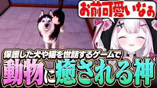 保護した犬や猫をお世話するゲームで動物たちに癒される神【Animal Shelter】
