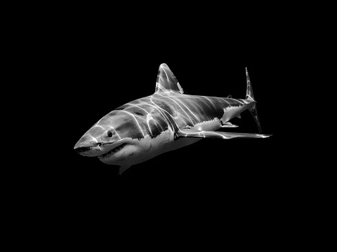 (FREE) HARD TRAP TYPE BEAT – Matuê, Travis Scott & Future – "TOPE" | @prodzzzbeats