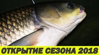 Карп ранней весной на червей