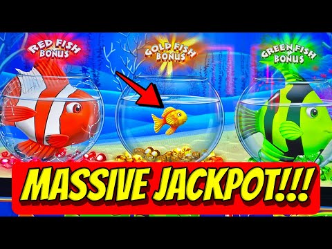 🚨BIGGEST GOLDFISH JACKPOT HANDPAY EVER SEEN!!!