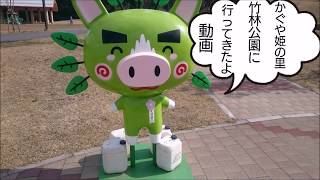 カゴシマにある竹.林公園へ行ってみた
