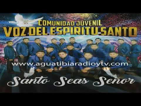Voz del Espíritu Santo Vol.11 Album Completo (LO NUEVO)