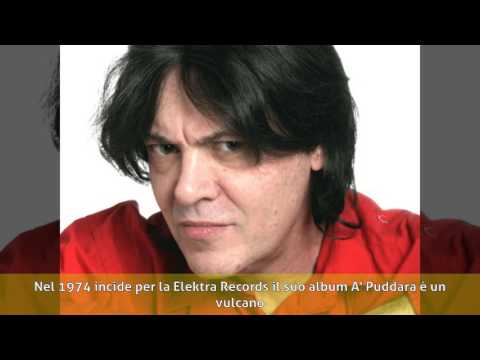 Donatella Bardi - Biografia