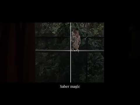 [Video green screen + grading color + shadow/ highlight]