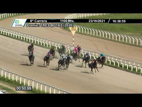 211023 c08 - VICTORIA HIT  - HIPODROMO LAS PIEDRAS