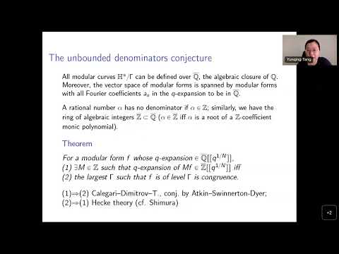 CTNT 2022 - The unbounded denominators conjecture (by Yunqing Tang)