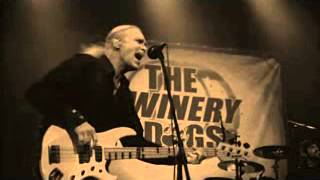 THE WINERY DOGS LIVE Not Hopeless