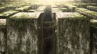 Gustavo Santaolalla - The Maze