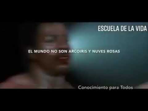 Sabes video