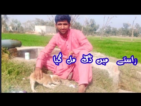 Rasty Men DOG Mil Gia Vlog 1 || Irshad Ajnabi
