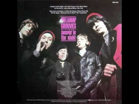 Flamin' Groovies - Jumpin' In The Night (Full Album)