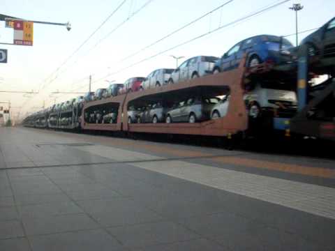 Tigrone e Bisarche + Punto Evo