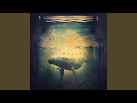 Błogosławieni miłosierni