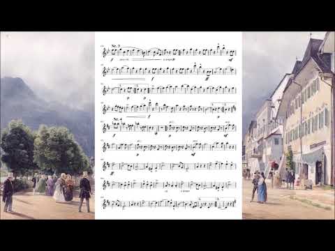 Österreich in Tönen, Walzer, Op.373 - Carl Michael Ziehrer (+ Sheet Music)