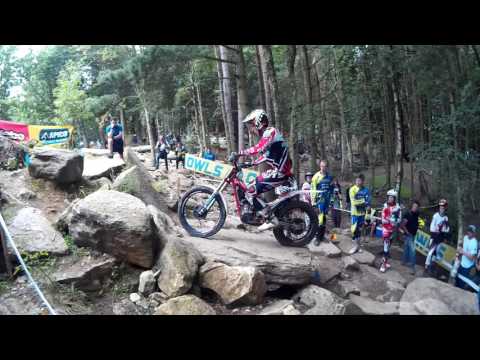 Dan Thorpe Section 10 Hook Wood