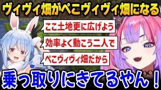 【ホロ金策サバイバル】ぺこら先輩に畑を乗っ取られるヴィヴィｗ【綺々羅々ヴィヴィ 兎田ぺこら DEV_IS FLOW GLOW ホロライブ】