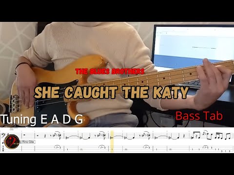 The Blues Brothers - She Caught the Katy (Cover Bass+tab)(Play Along)