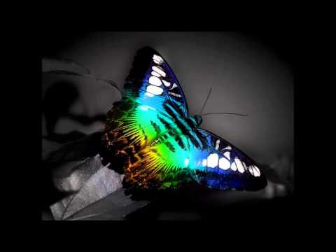 Saccoman - Pyramid Soundwave (Sunshine dance)