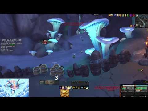 Realm First +15 Disc PoV