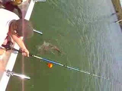 LUKE DOYLE BIG CATFISH RIVER EBRO