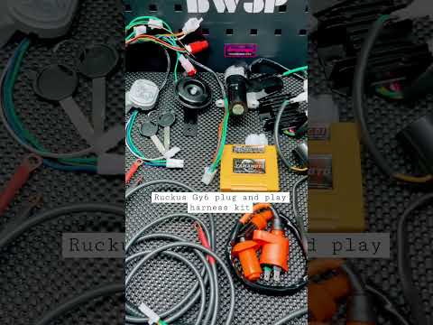 Ruckus Gy6 plug and play harness kit. Available on tunescoot.site #bwsp #ruckus #ruckusswap