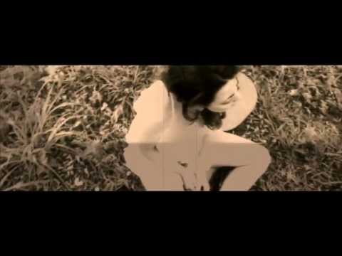 Jacarandá video
