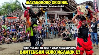 Download lagu Banteng Suro Ngamuk ❗ Awas Kena Keprok Jaranan MAYANGKORO ORIGINAL Live Kedungsari Tarokan Kediri mp3