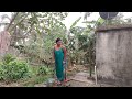 Village Aunty Outdoor Bathing Videos