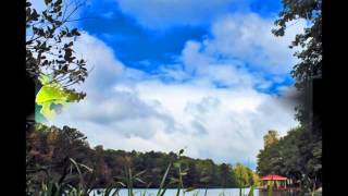 Todd Snider - "Rose City"