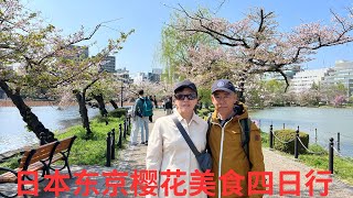 东京樱花美食四日行 Apr 11-14 2025