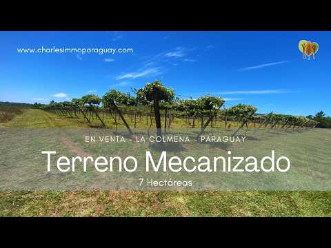 Paraguay - La Colmena - Terreno agrícola - mecanizado en venta PY222