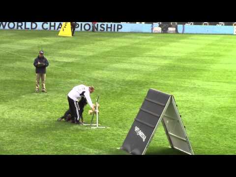 2013 WUSV Helmut Huber and Hank vom Weinbergblick 93b - Germany